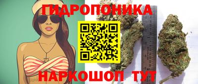 сатива Бузулук