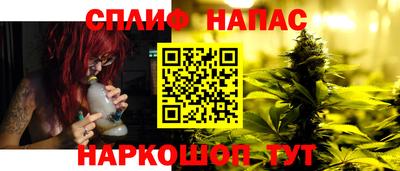 сатива Бузулук