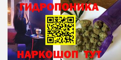 прущие грибы Бугуруслан