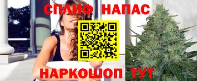 сатива Бузулук
