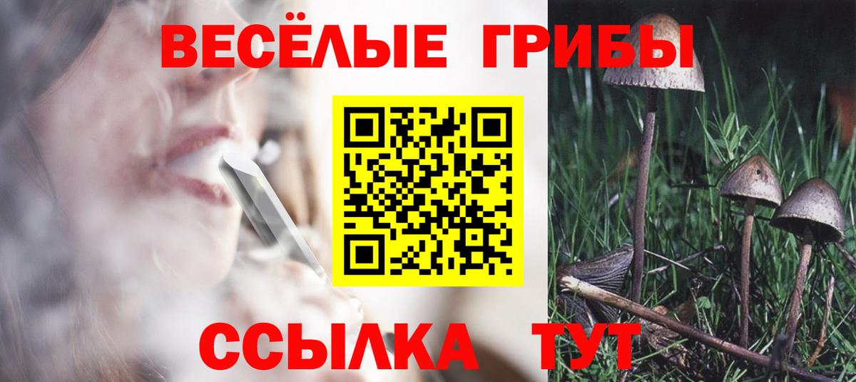 Галлюциногенные грибы Cubensis Назарово
