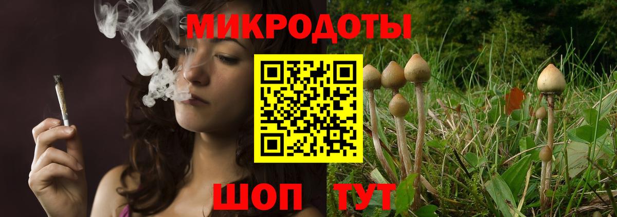 Псилоцибиновые грибы Magic Shrooms  Галлюциногенные грибы мицелий  Назарово  Вход с VPN 